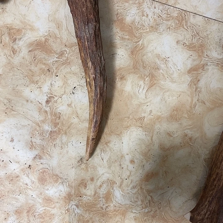 长***侠大叶紫檀（黑酸枝木类）
