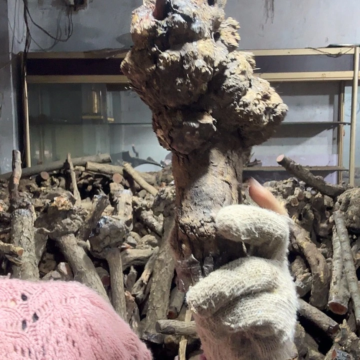 2***5香榧木火琉璃的故事是一个人