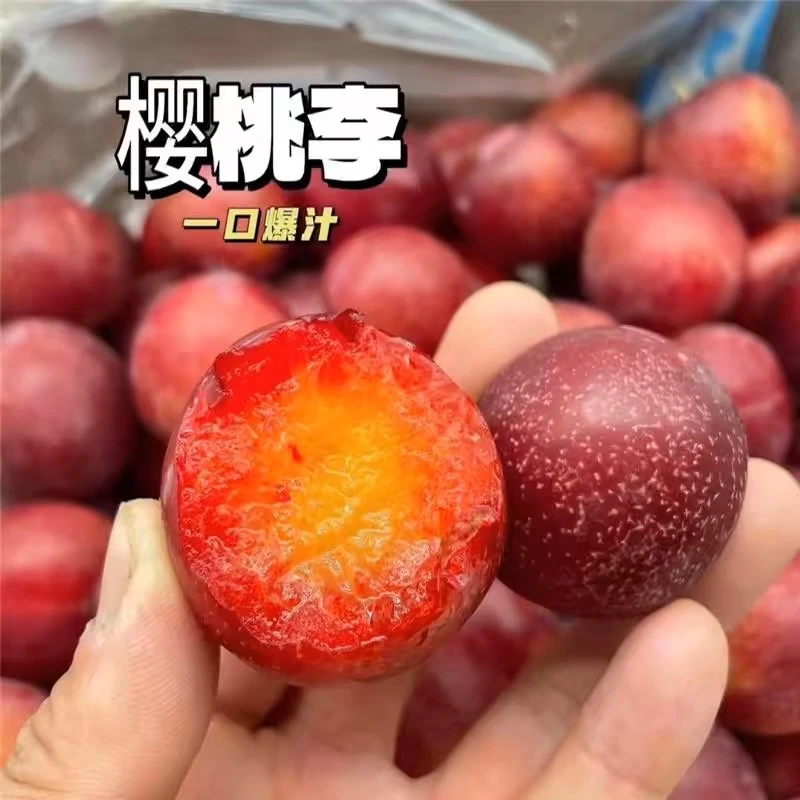 【果真不错】智利樱桃李 李子中的天花板，纯甜爆汁（武汉小时达同城配送）