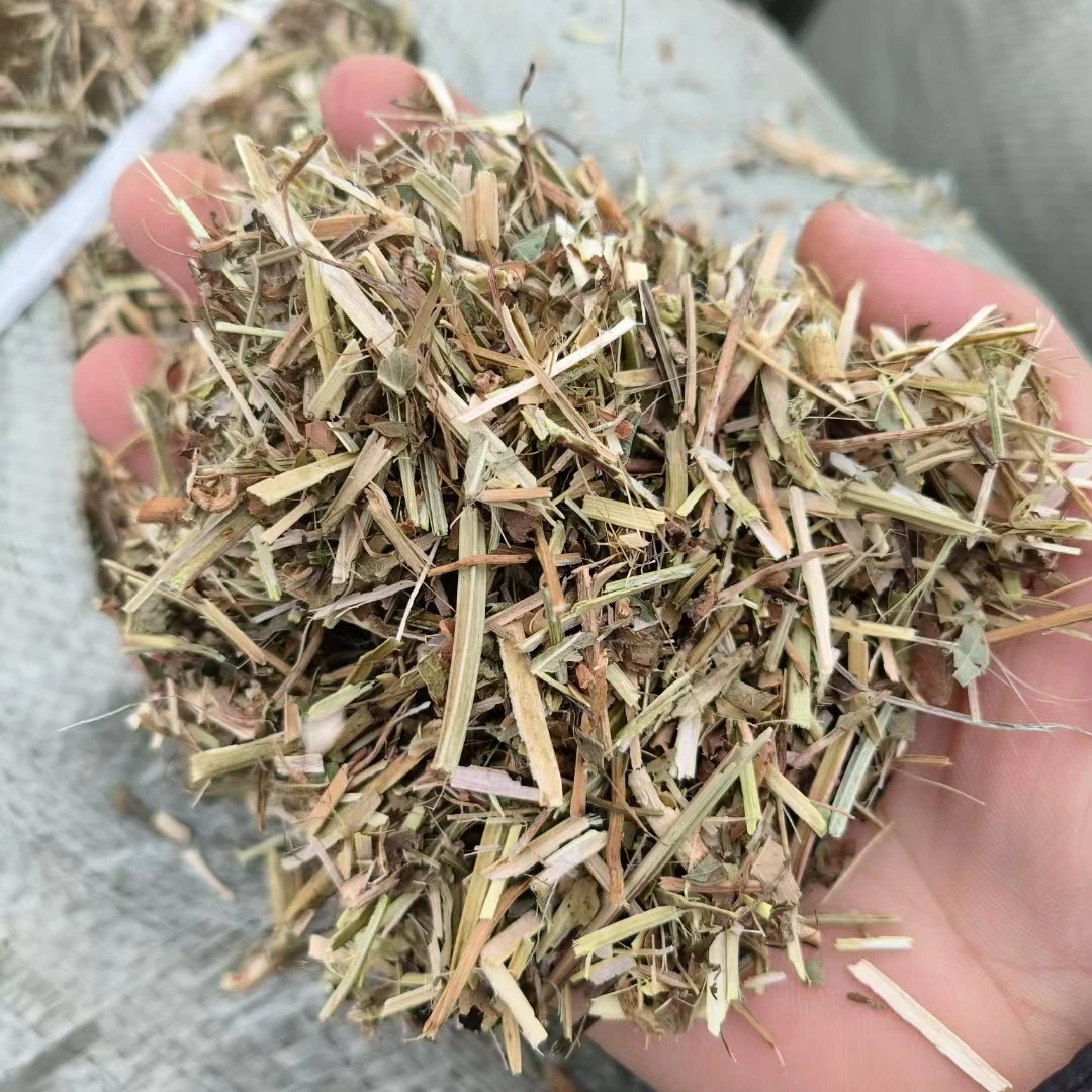 花生秧牛羊黄绿草段
