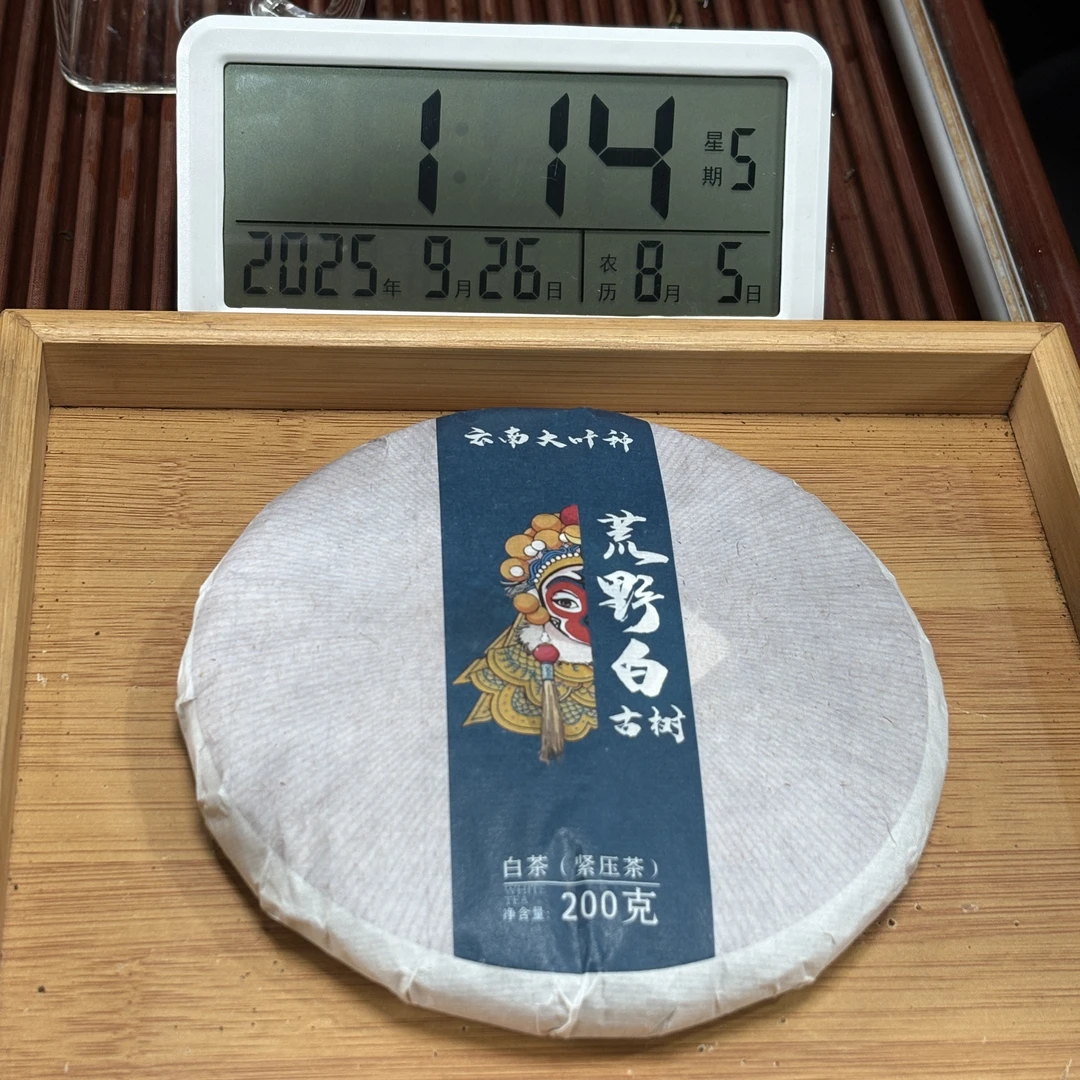 2025年荒野古树白茶饼 春 200克【5号】9-25