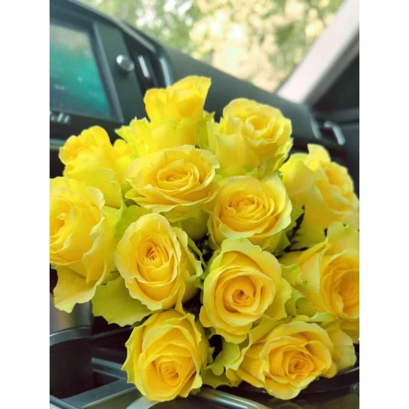 鲜花【浪漫沙滩】家庭同地址两单京东或顺丰送货上门