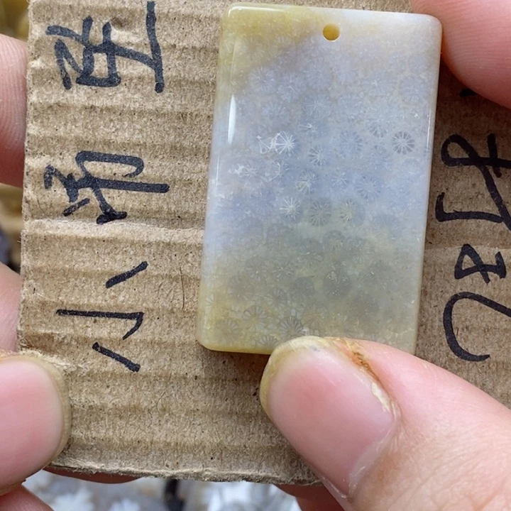 颈饰未镶嵌硅化珊瑚（珊瑚玉）森**烛