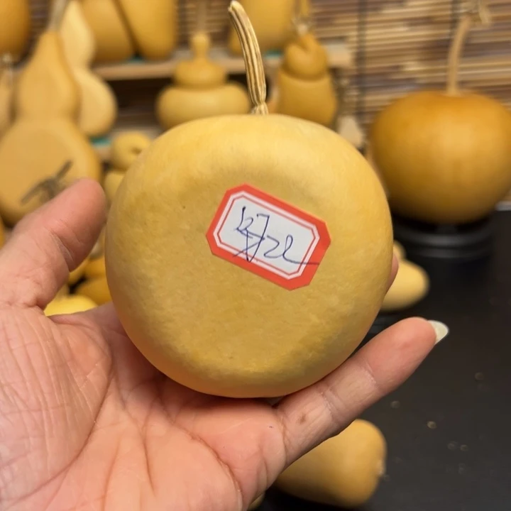 小****…556655666555569