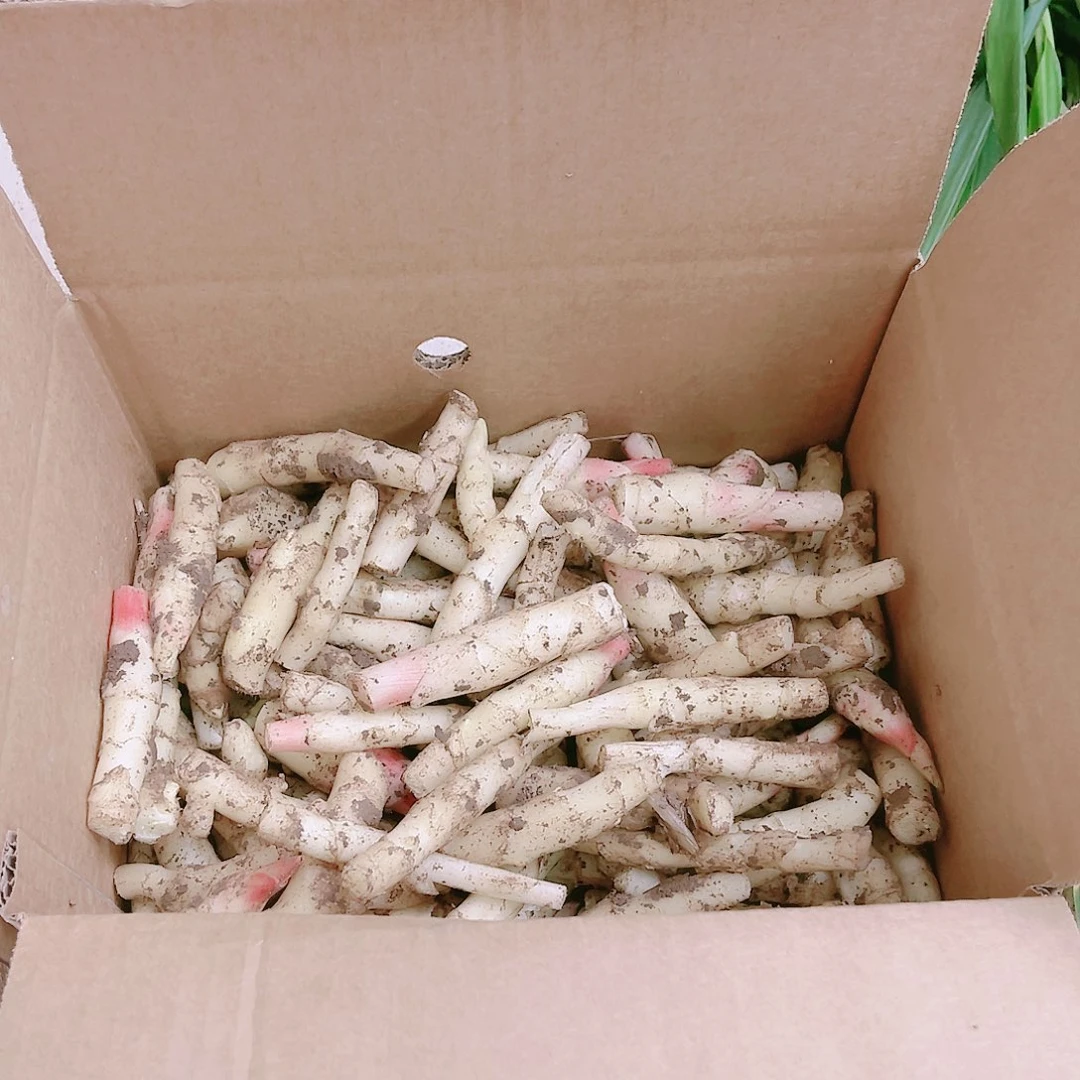 黄姜中国大陆碎姜
