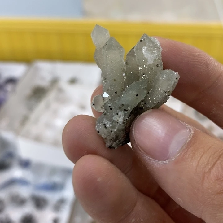 石头J**子石头石头石头