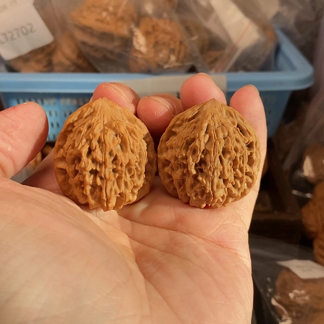 1文玩核桃熔岩公子帽34-501