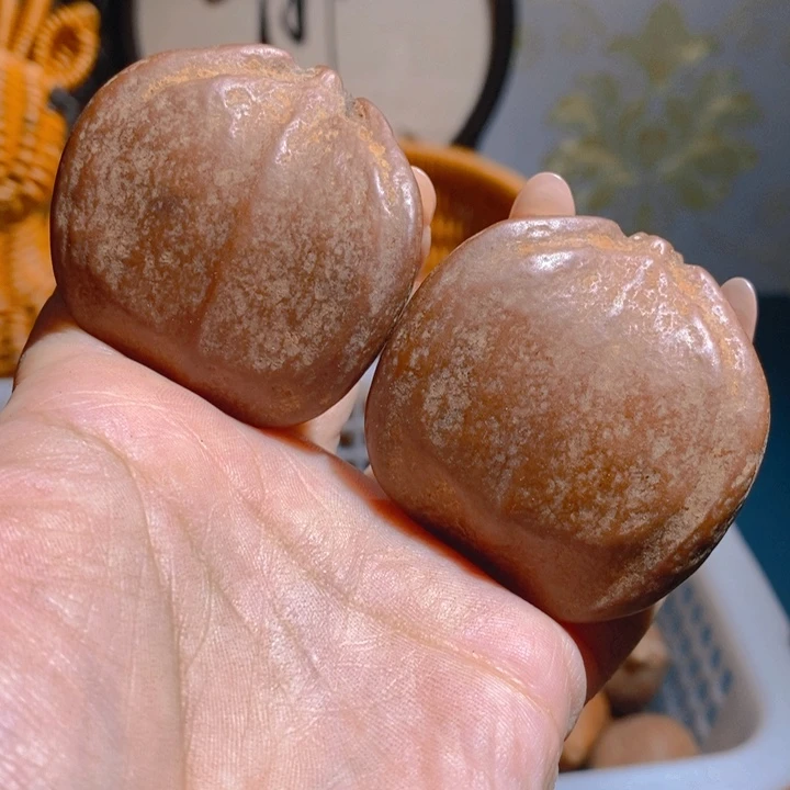 野生三花大橄榄核