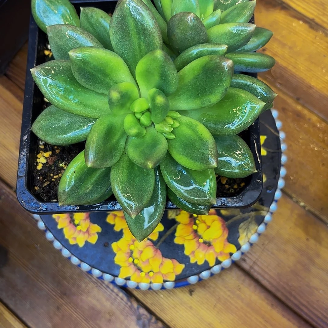 ****啦啦啦啦啦啦啦啦啦啦啦