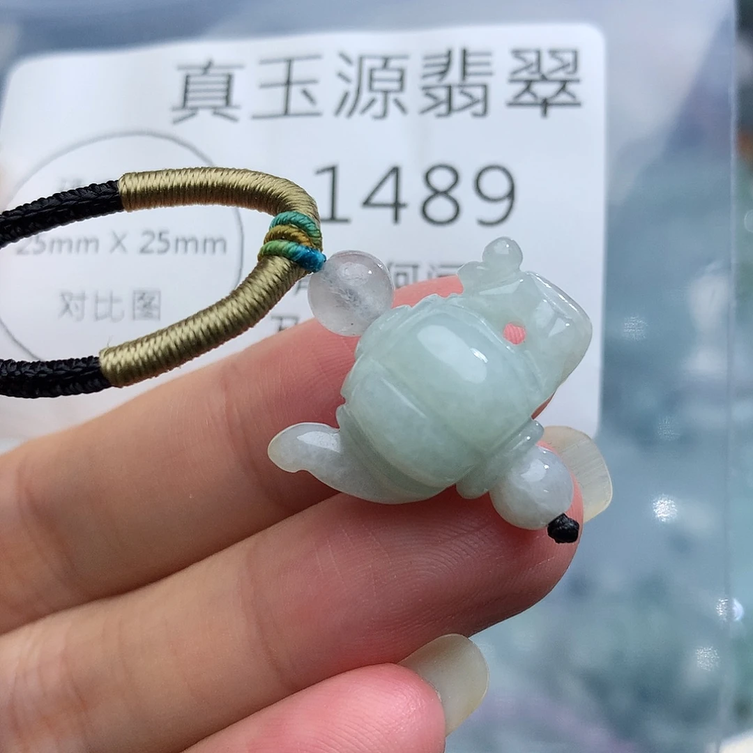 颈饰未镶嵌翡翠1489