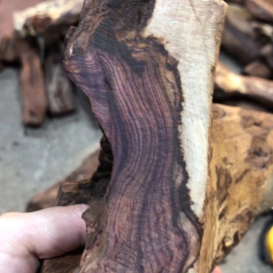 其他黄花梨/降香黄檀