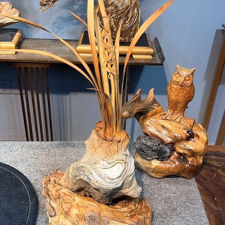 成***厨柏木Ssdfggghjjhff