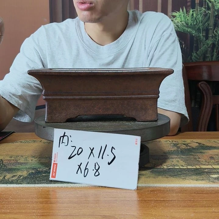 来来来啦咯啦咯啦咯