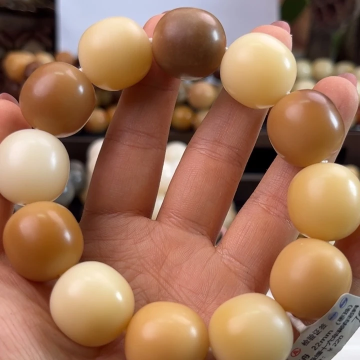 菩提根/象牙果手串卡70通货出