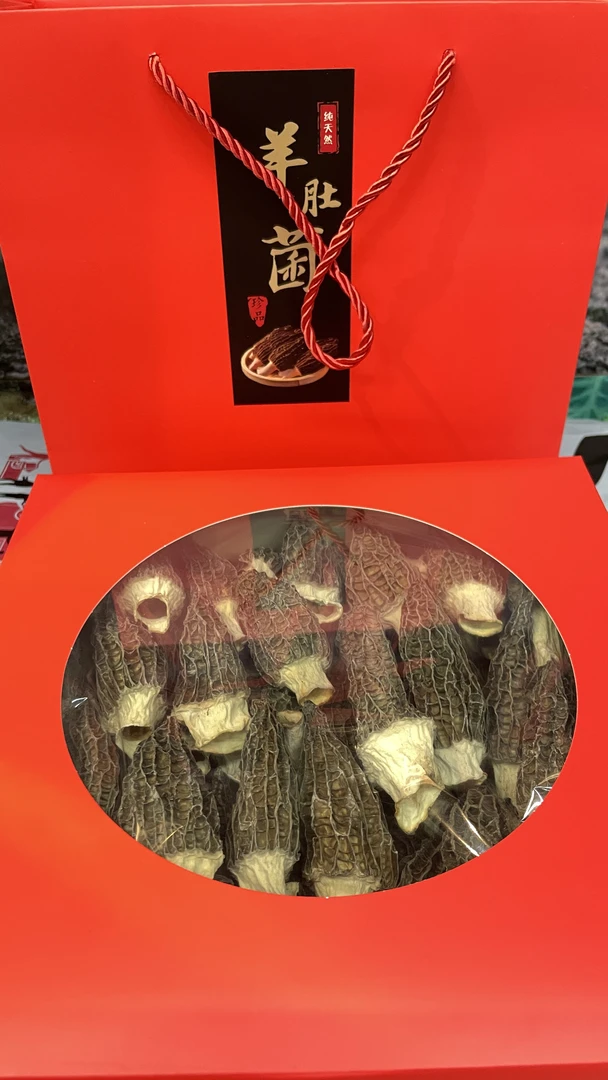 精选羊肚菌礼盒装送礼佳品头茬六妹肉质肥厚美味可口