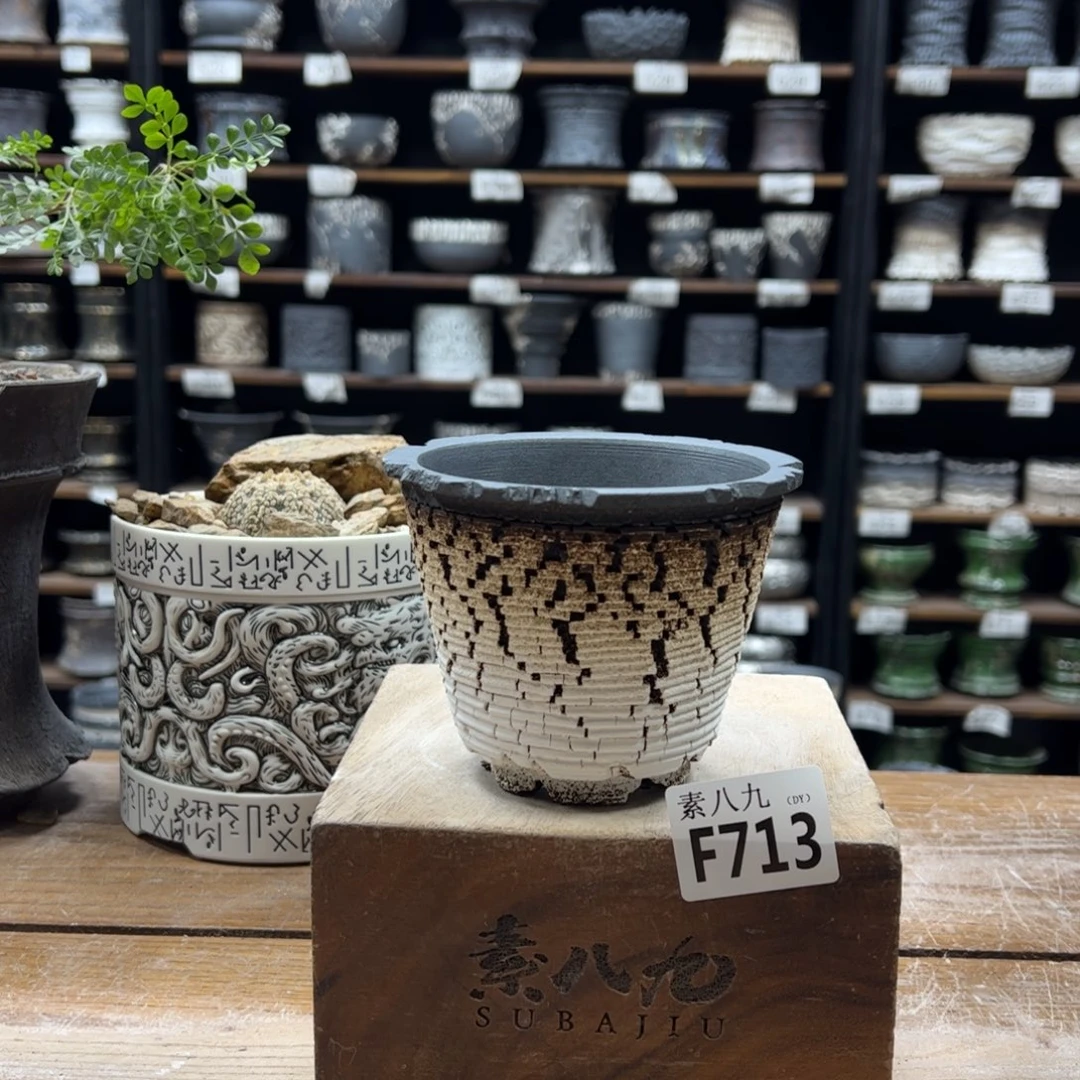 素八九陶瓷内口9.5高9