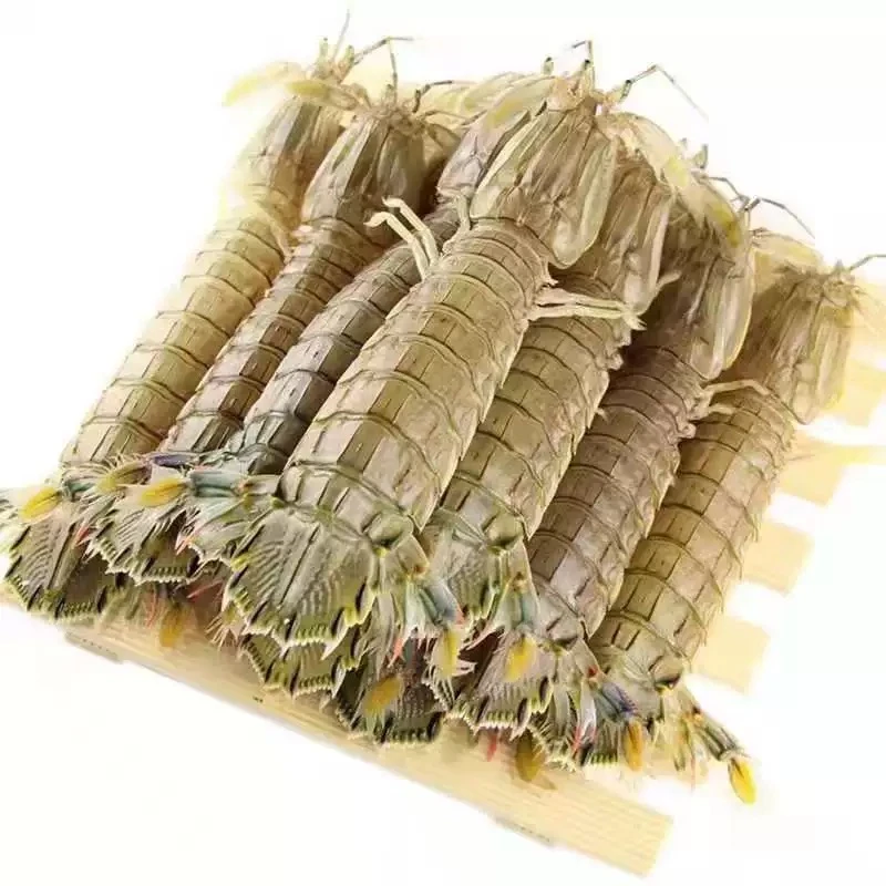 本地海捕鲜活皮皮虾快递保鲜不保活