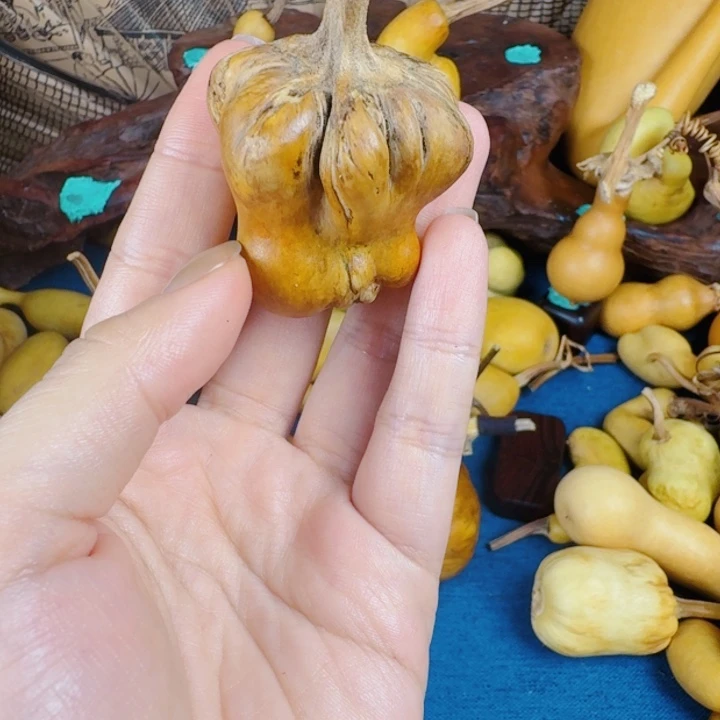 ❹***༆其实去兔兔图图图图