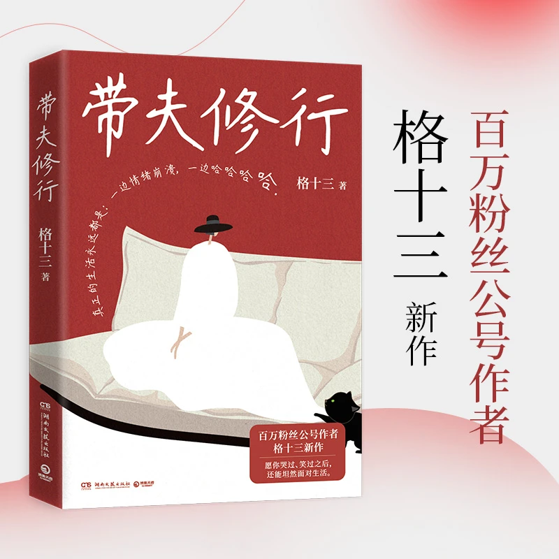 【当当】带夫修行（百万粉丝公号作者格十三新作 ）