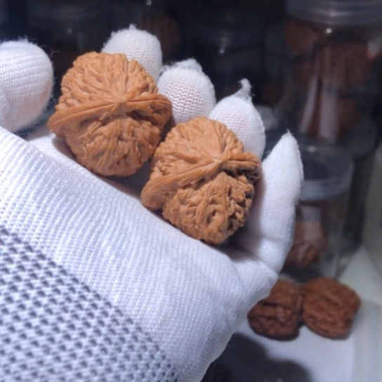 @***妃吊坠文玩核桃白狮子