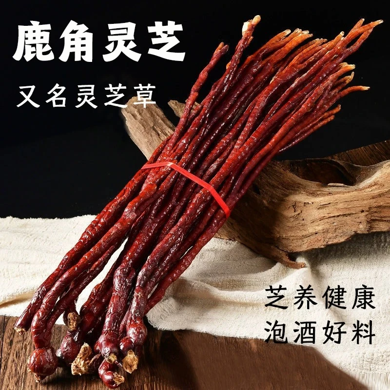 （阿佑专属）主播优选农家鹿角灵芝