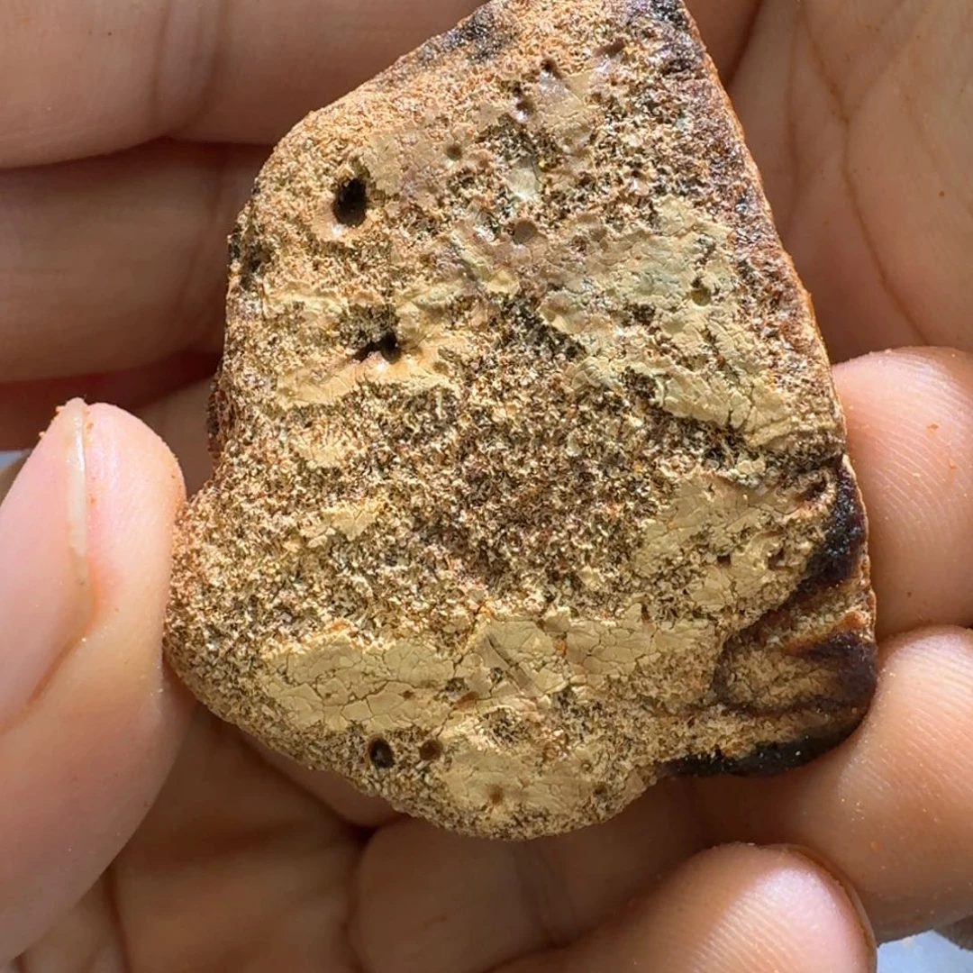 定制琥珀未镶嵌一**宅专拍