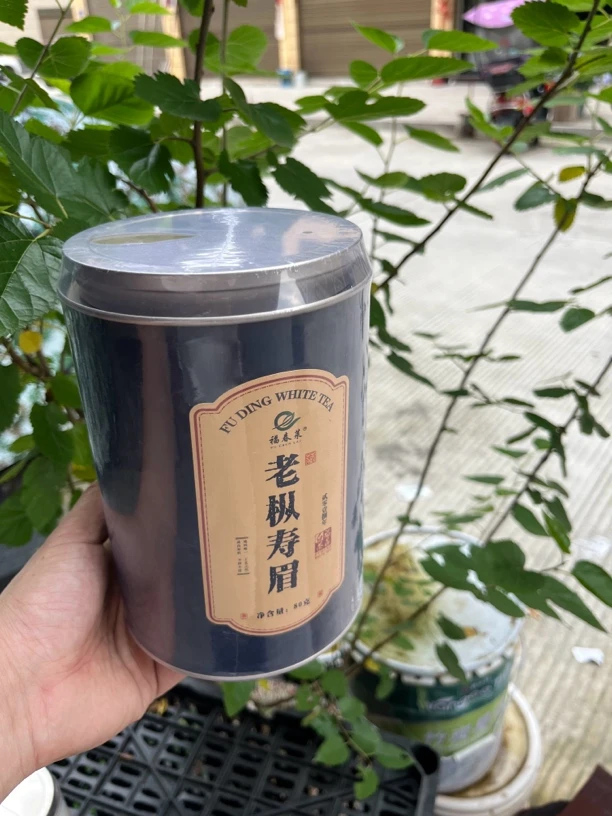 福春莱 2018年单株寿眉 80克1罐