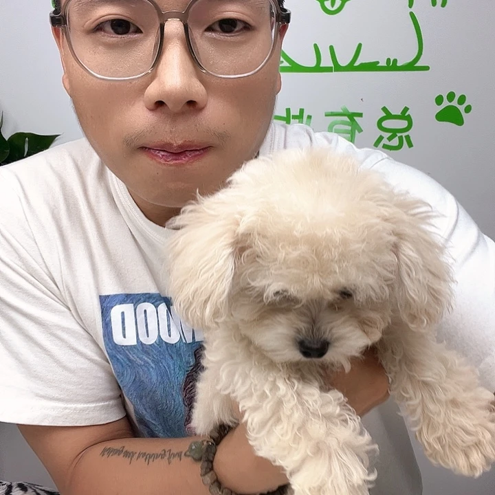 马尔泰弟弟徐州新家