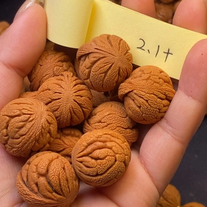 秦岭龙纹桃核13颗