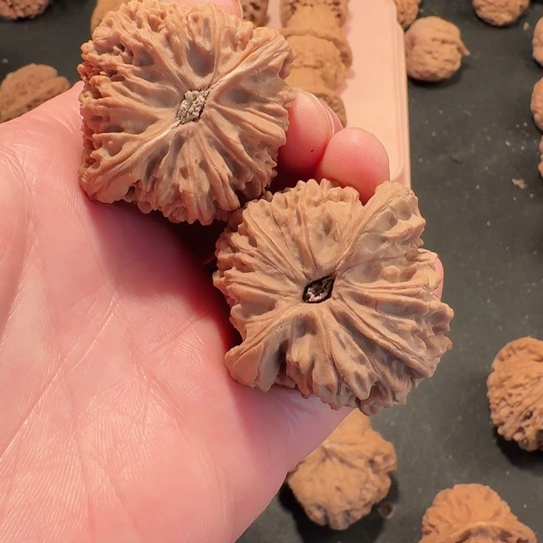 全品南疆石狮子头43