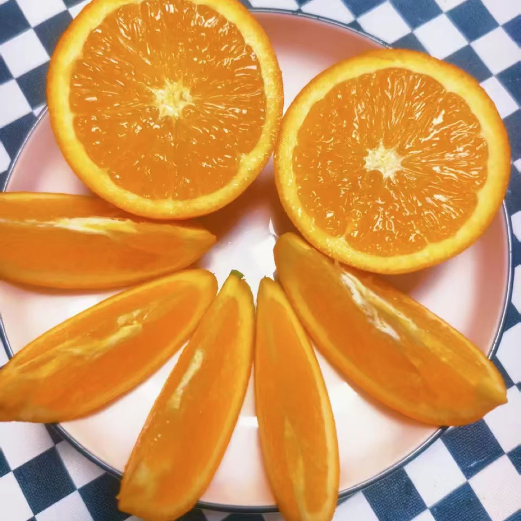 朱会长助力古蔺甜橙永乐空巢老人自家种植