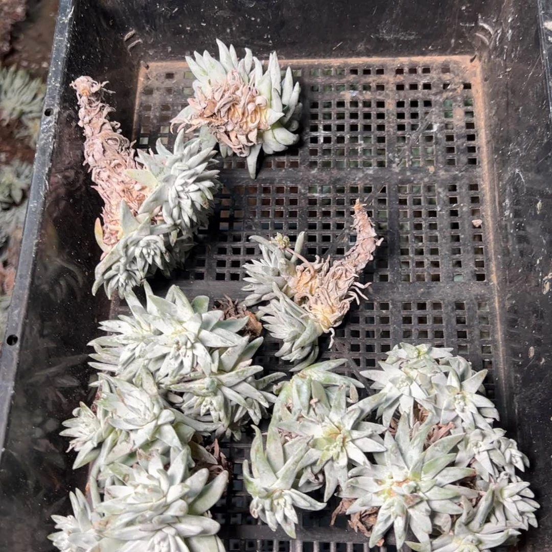 2831哈哈哈哈哈哈哈哈