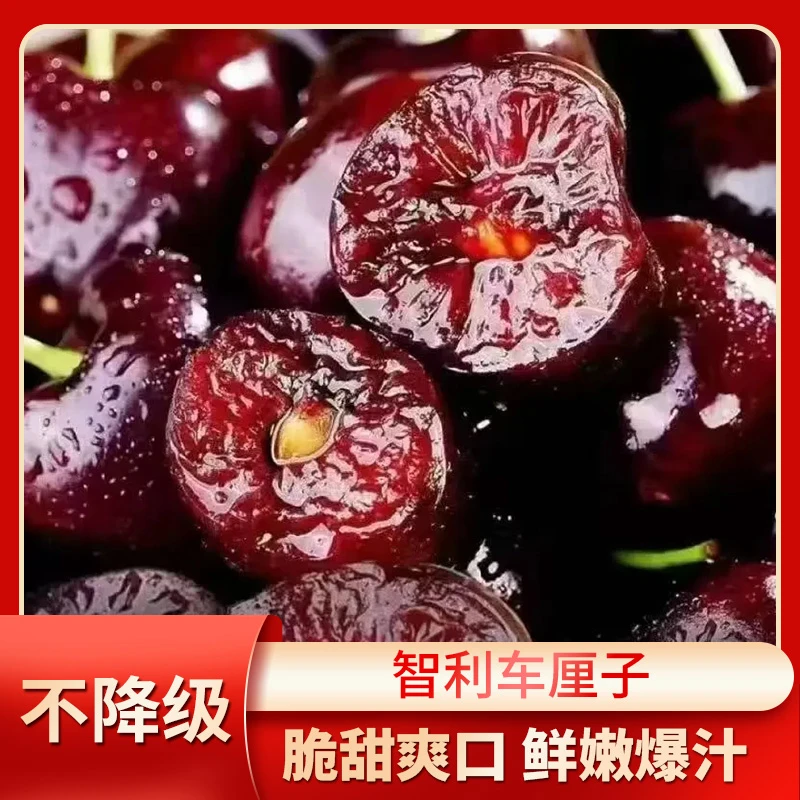 智利海运桑提娜进口车厘子2J-4J特级礼盒内附果径卡包邮到家YY