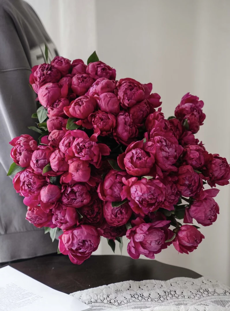 【红沙拉】芍药鲜切花菏泽基地顺丰包邮