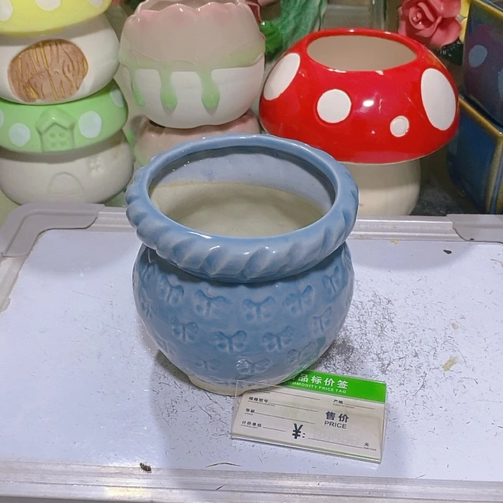 摆件多肉瑕疵盆有孔。