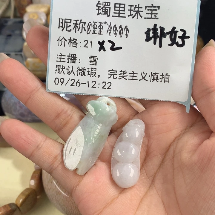 *****硅化珊瑚（珊瑚玉）未镶嵌吊坠(赠链)