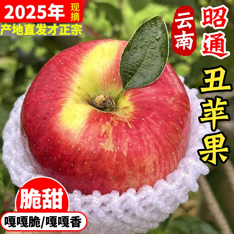 昭通苹果云南现摘当季孕妇水果净重3/5/9斤彩箱包装