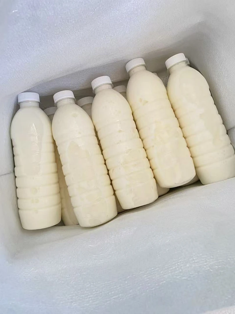 新鲜全脂纯牛奶500ml*10瓶儿童营养优质生牛乳学生早餐奶