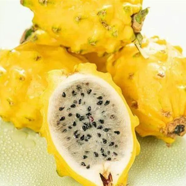 【吉林市同城配送】燕窝果