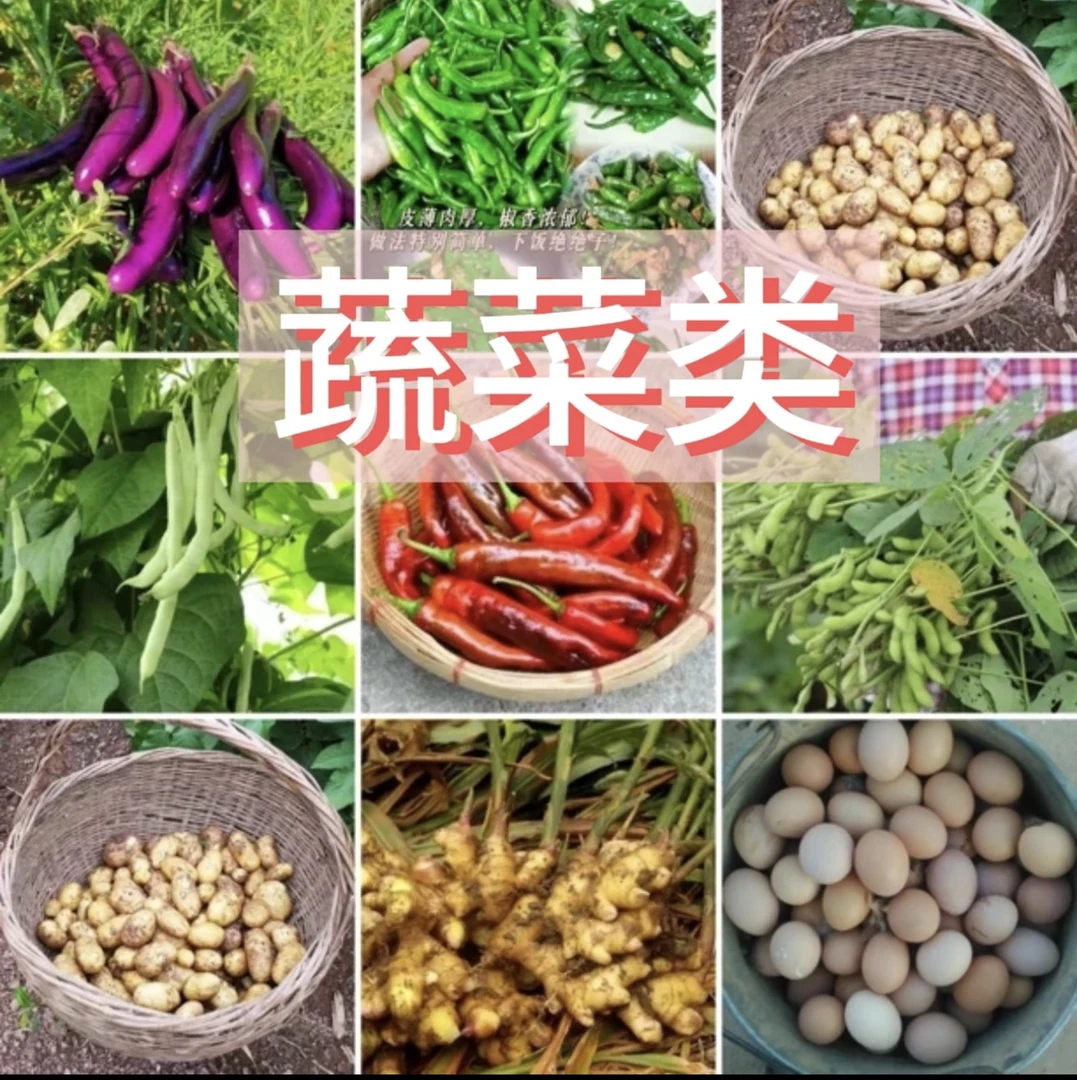 湘西老百姓自产自消生鲜链接2