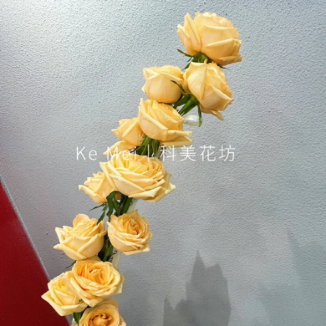 一米玫瑰-14朵香槟玫瑰冰糖葫芦鲜花花束汶上小时达同城配送