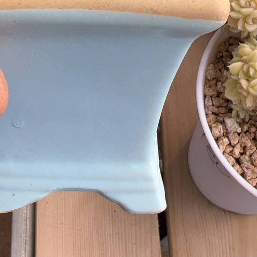 冬***冬新年快乐 新年快乐