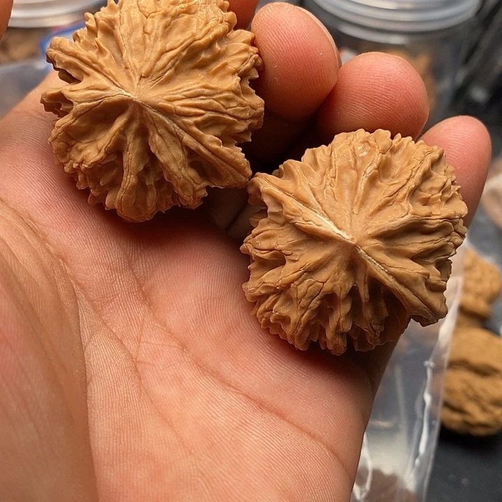 文玩核桃把件邢****牌八道筋