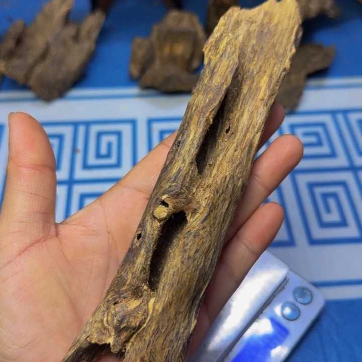 木质绿奇陆河虫漏53克