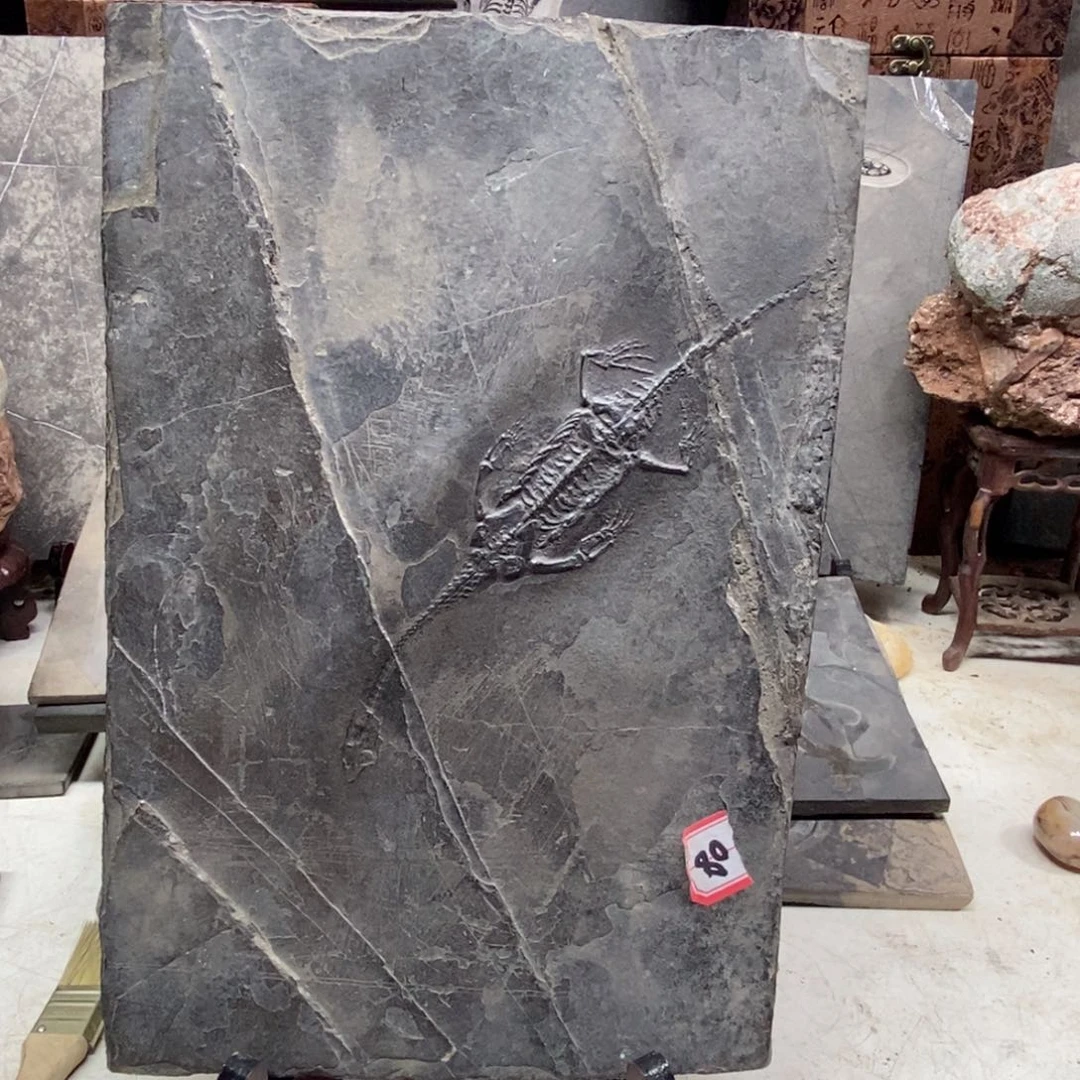 石材大*阳大自然的秘密就是这样神奇