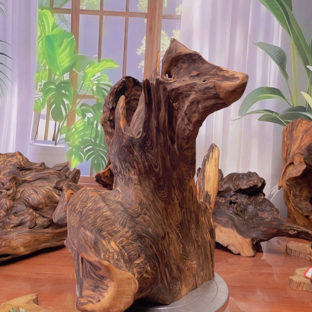 你目的名优木兰狠厉我乐了