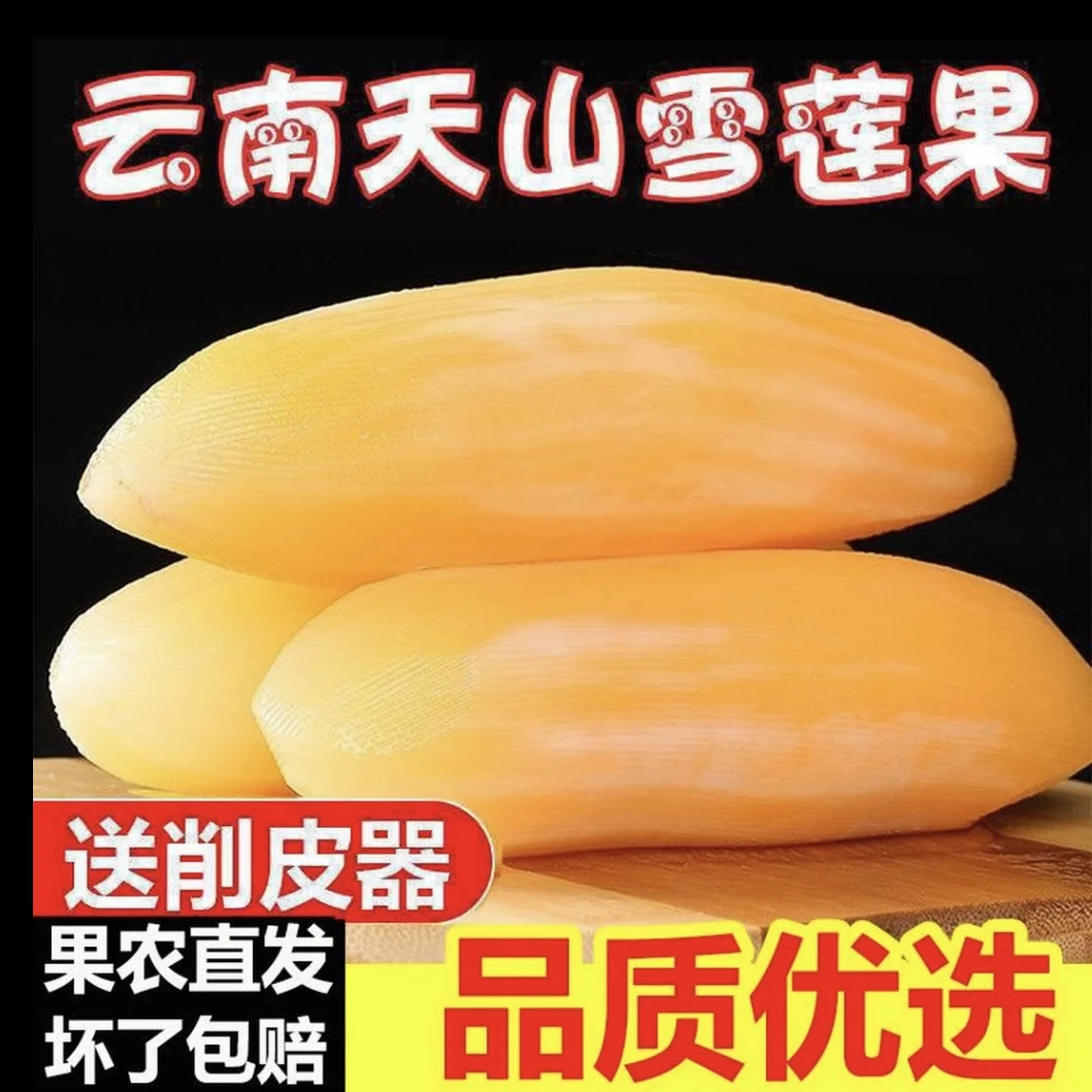 【送削皮刀】1云南天山雪莲果好吃新鲜水果产地直发孕妇可食xx