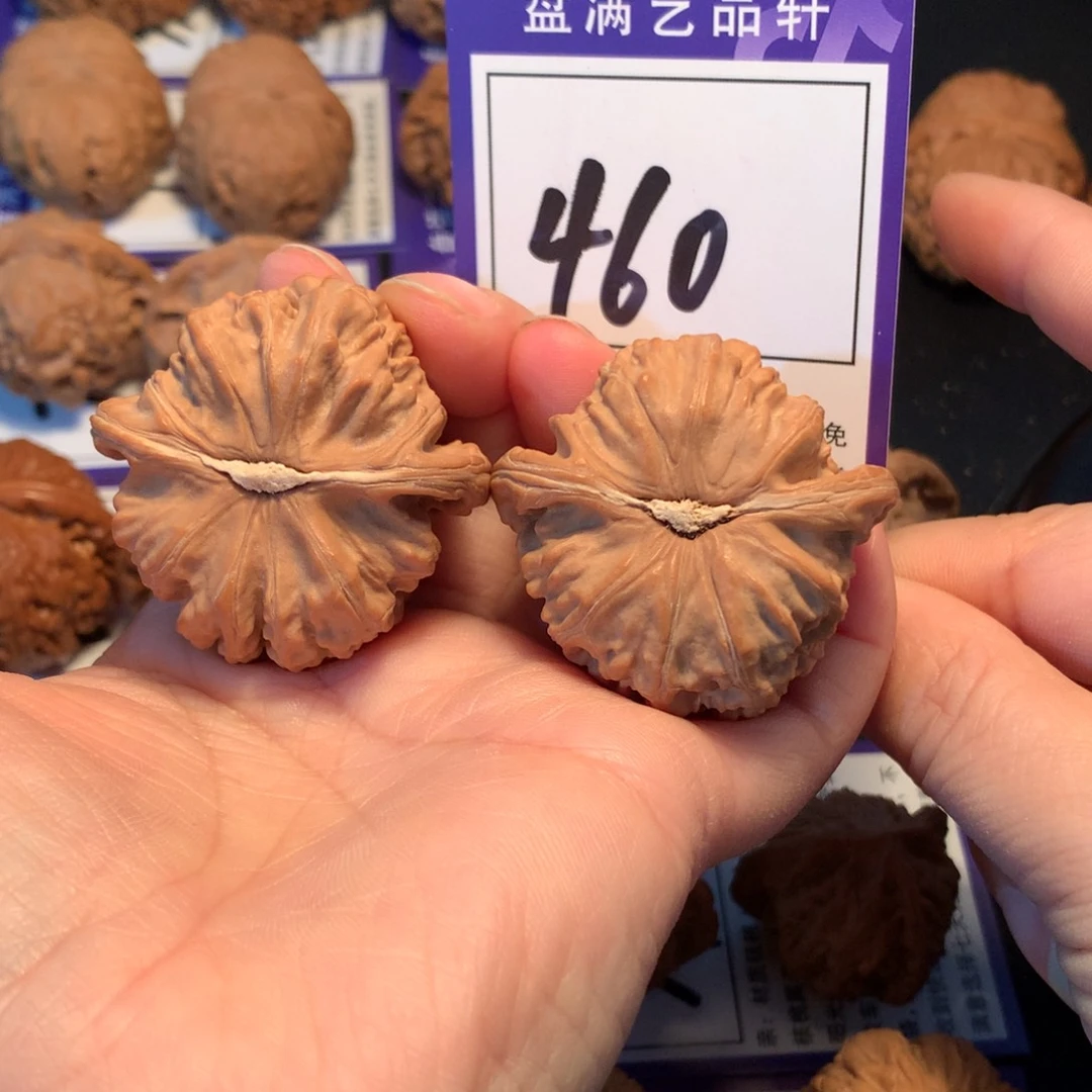 核桃460白狮子4.3全品