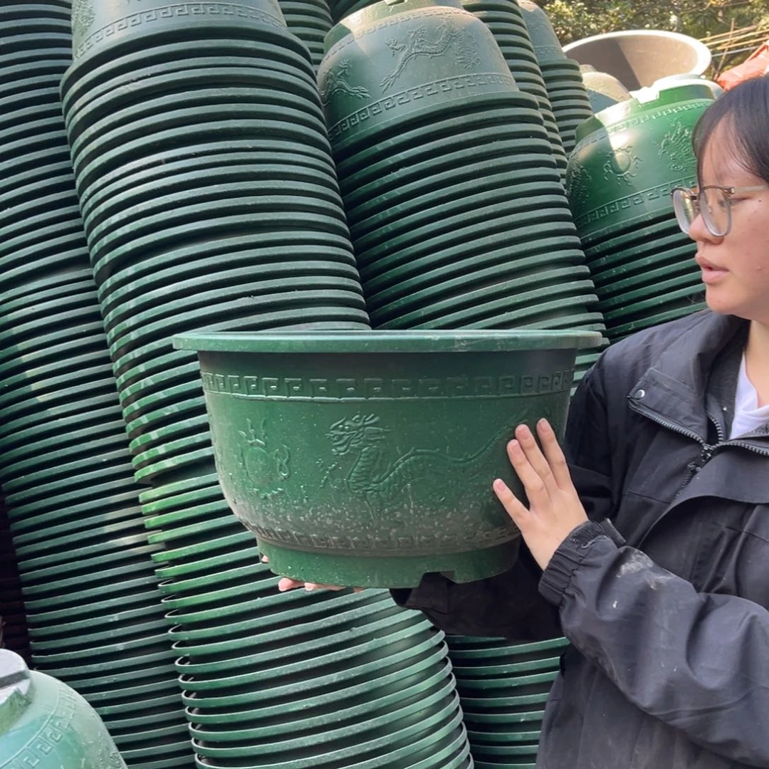 复合40墨绿烤漆龙盆10个花盆