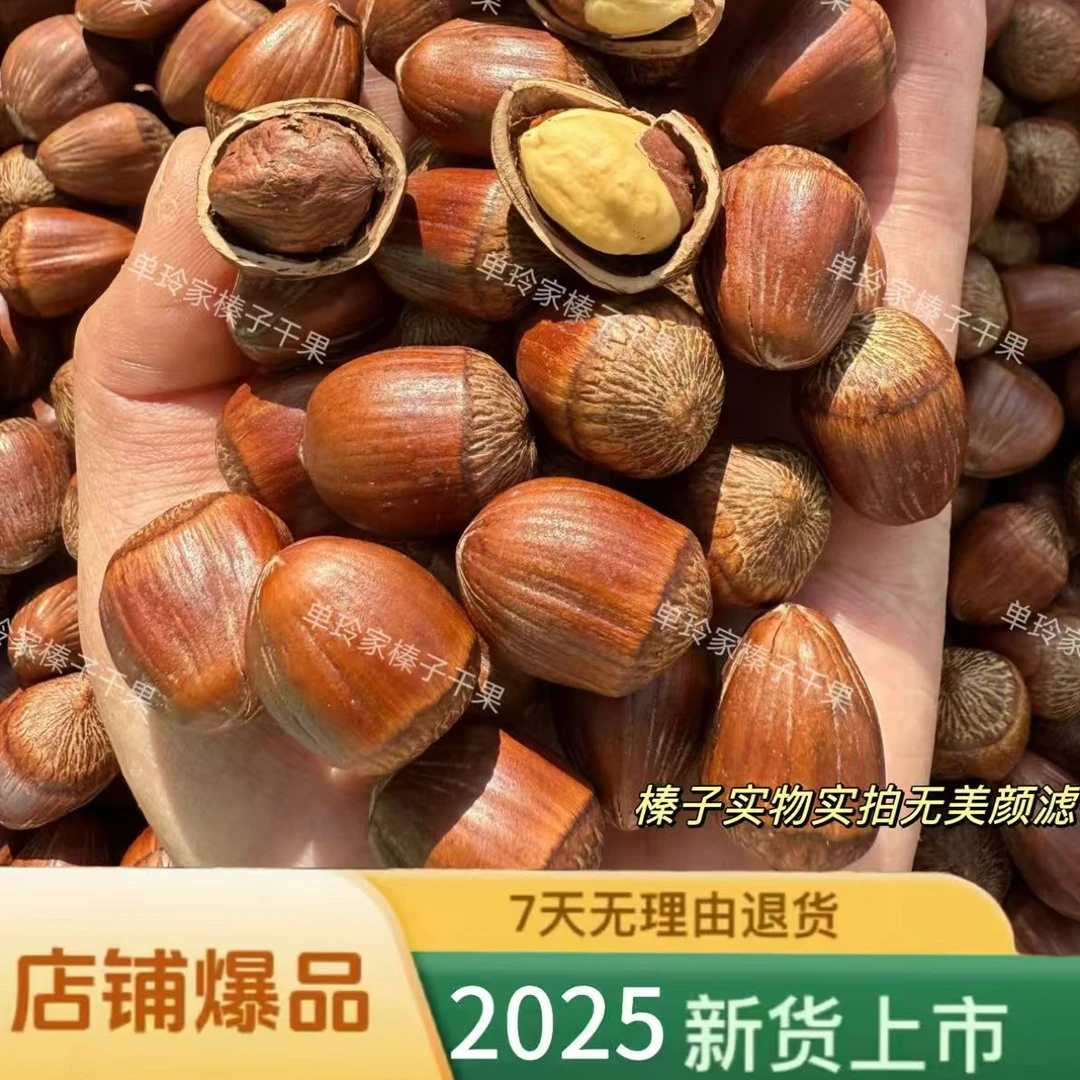 新货大果榛子（熟）新货5斤装（试吃二两）闭口 送钳子